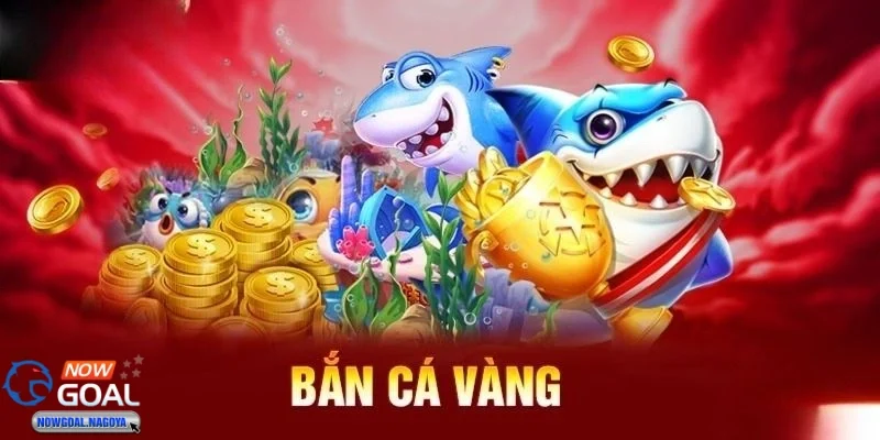 Canh chuẩn thời điểm săn cá giá trị cao