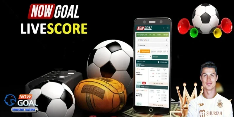 liên hệ Tầm quan trọng của kênh liên lạc trong ngành cá cược